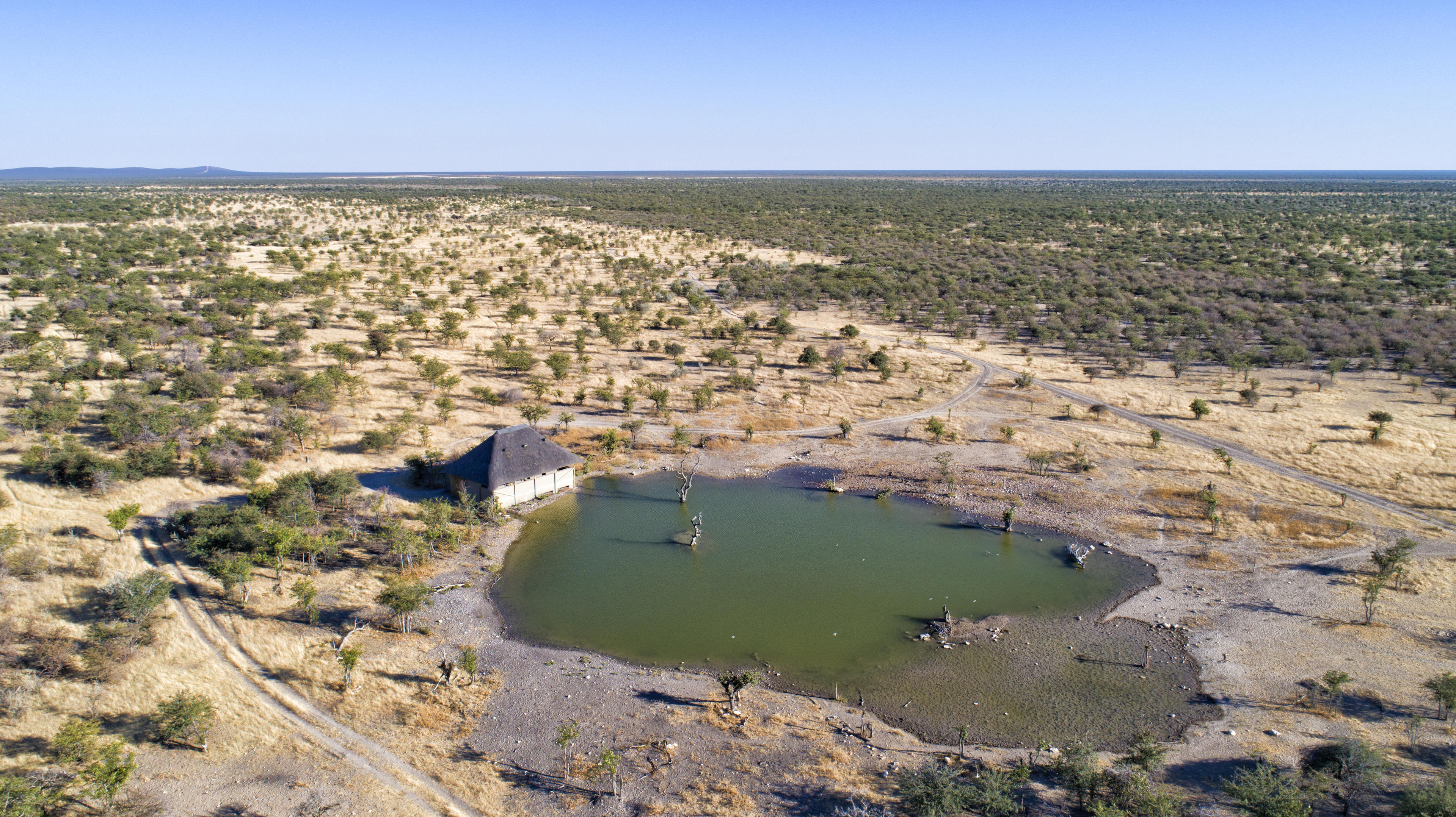 Safarihoek Lodge thumbnail 4